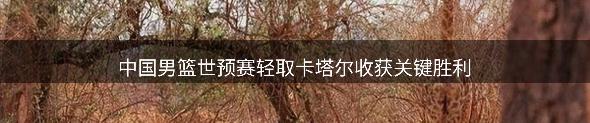 品牌前沿