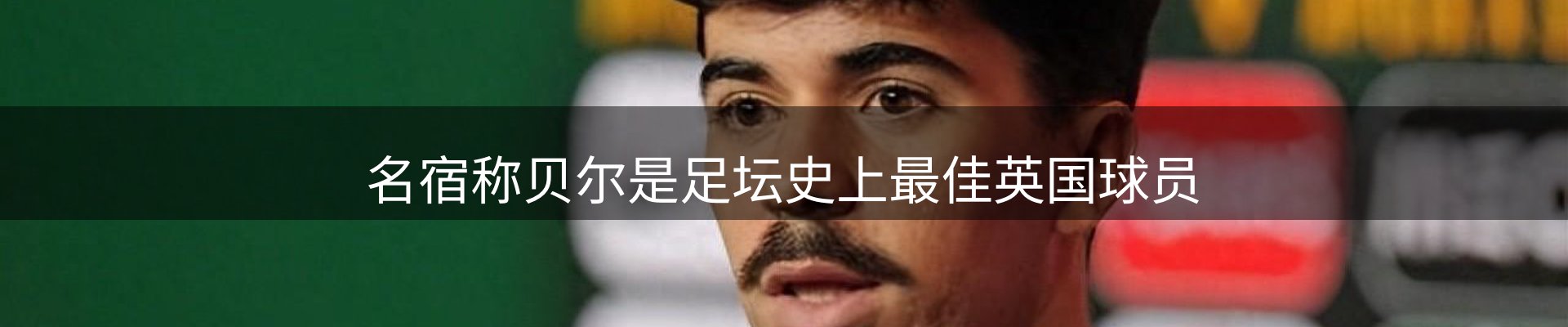 网站资讯