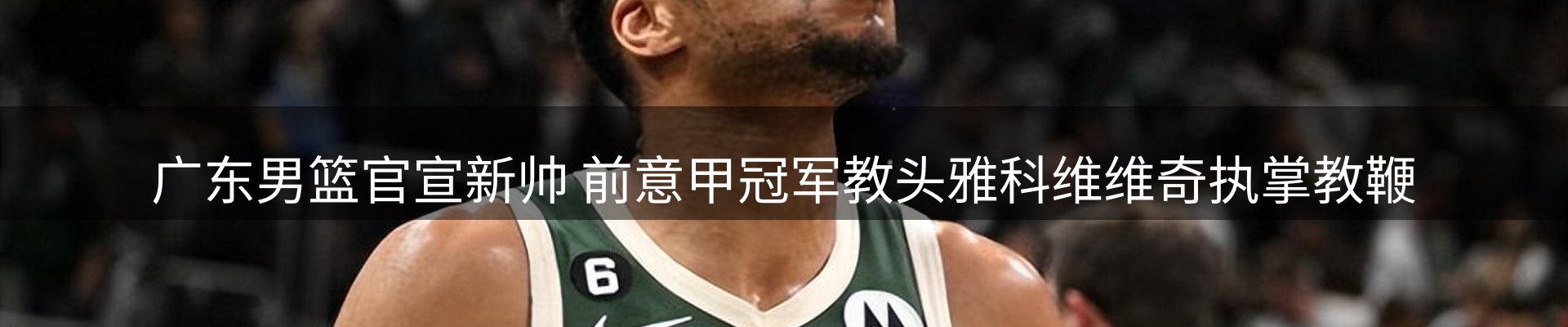 网站资讯