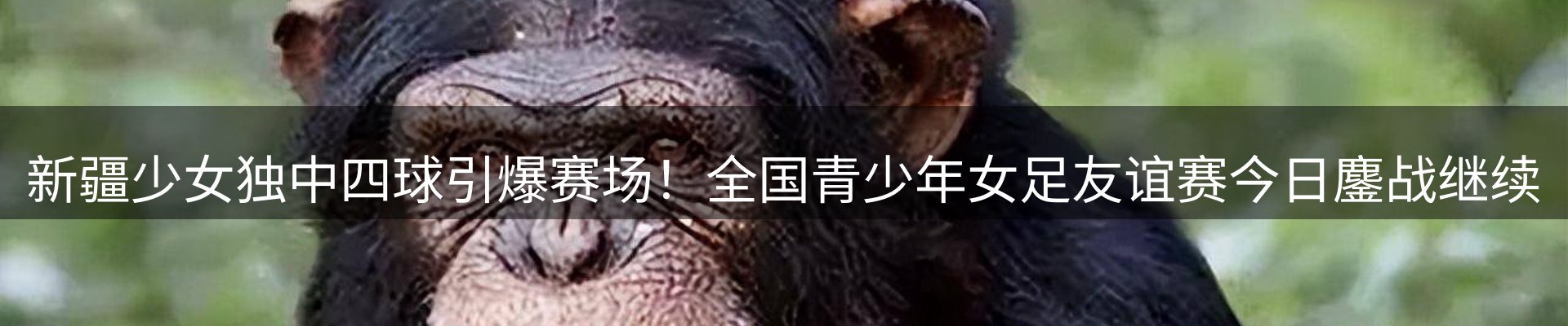 网站资讯
