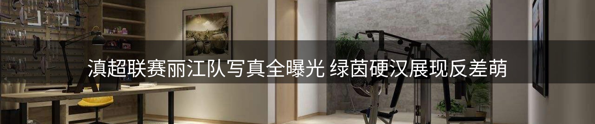 网站资讯