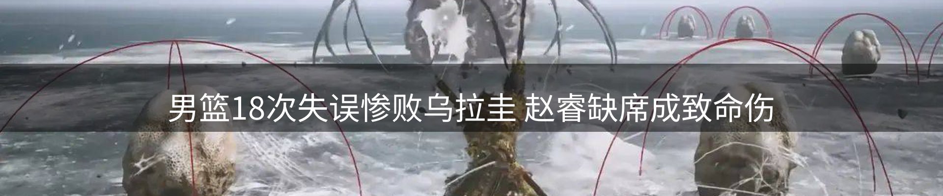 网站资讯