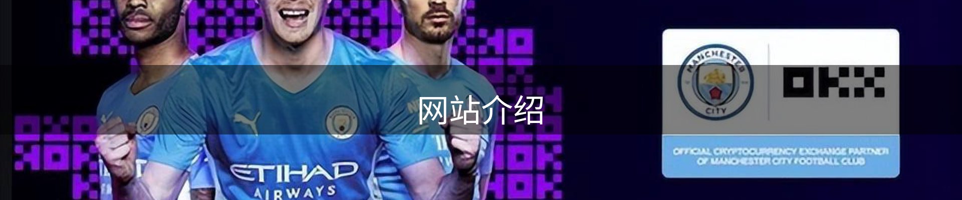 网站介绍