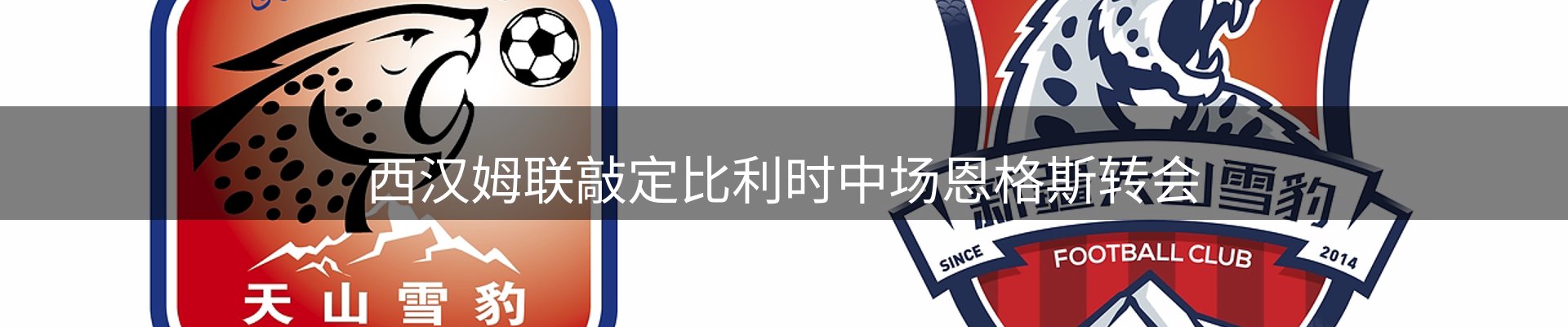 网站资讯