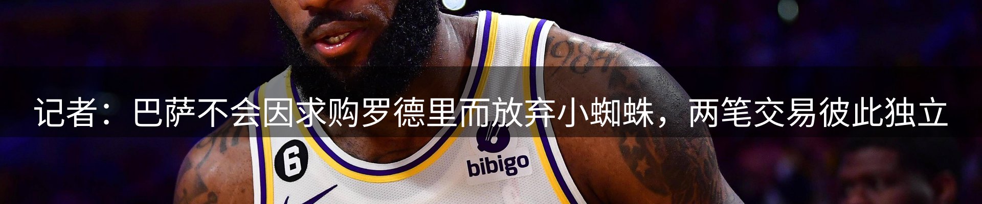 网站资讯