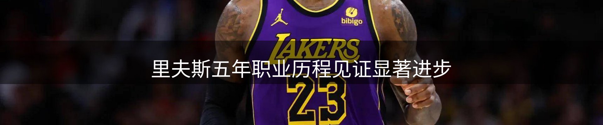 网站资讯