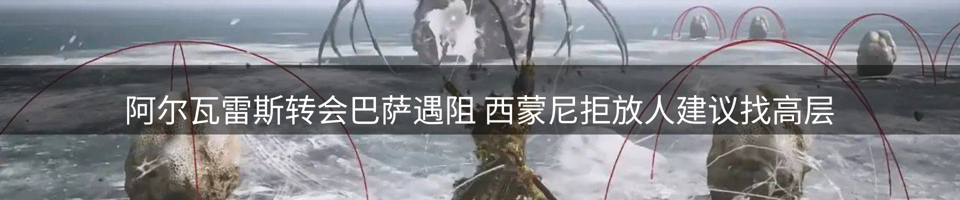 网站资讯